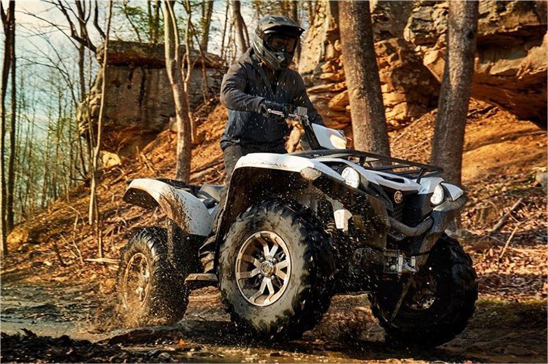 2018 Yamaha Grizzly EPS 5