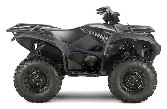 2018 Yamaha Grizzly EPS 1