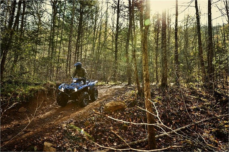 2019 Yamaha Grizzly EPS SE in Topsham, Maine - Photo 19