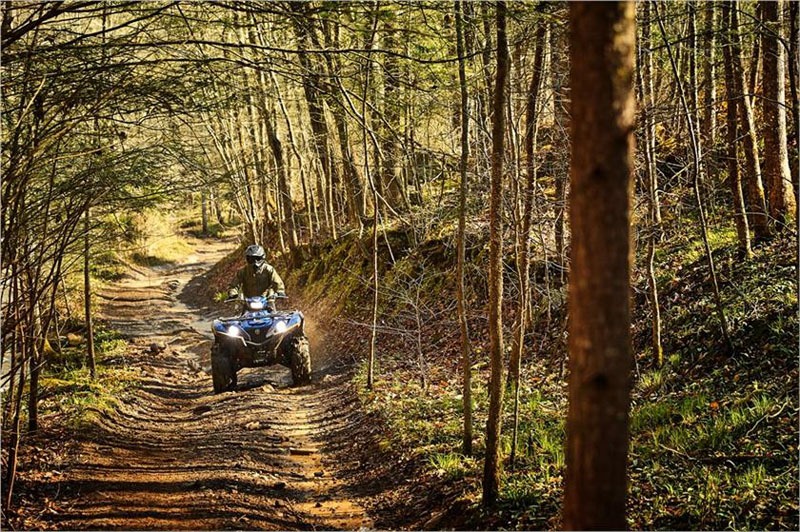 2019 Yamaha Grizzly EPS SE in Topsham, Maine - Photo 20