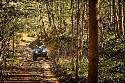 2019 Yamaha Grizzly EPS SE in Topsham, Maine - Photo 20