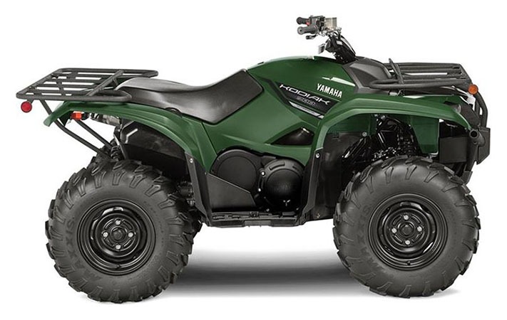 2019 Yamaha Kodiak 700 in Marietta, Ohio - Photo 1