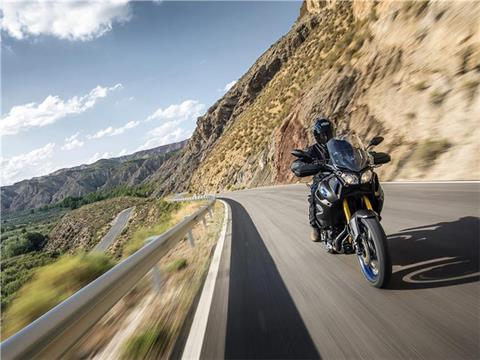 2019 Yamaha Super Ténéré ES in Burlington, Washington - Photo 22