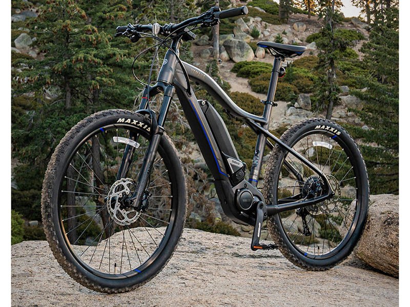 2021 Yamaha YDX-TORC - Large in Santa Maria, California - Photo 3