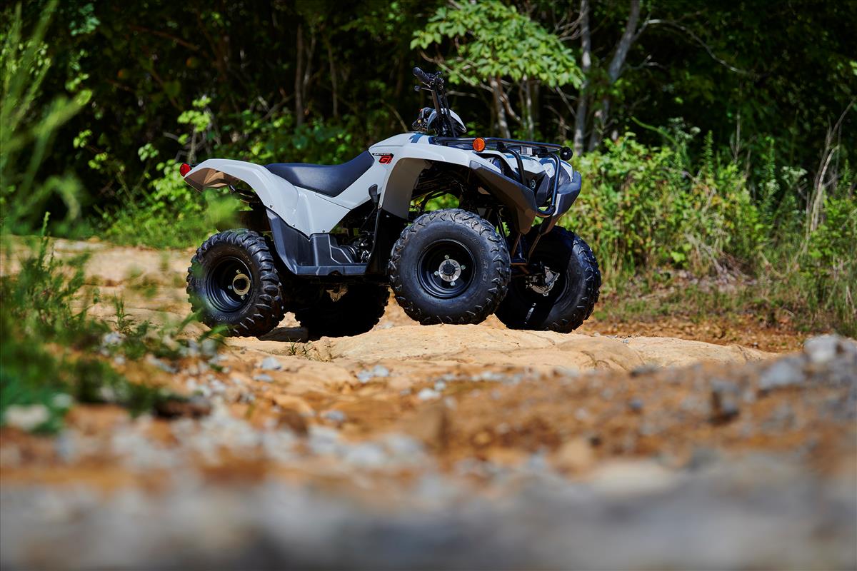 2022 Yamaha Grizzly 90 in Long Island City, New York - Photo 12
