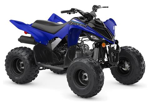 2022 Yamaha Raptor 90 in Rochester, New York - Photo 2