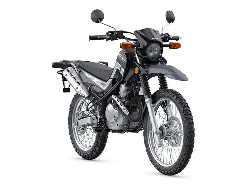 2022 Yamaha XT250 in Long Island City, New York - Photo 3