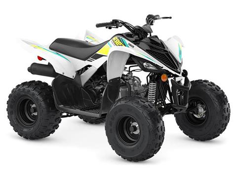 2023 Yamaha Raptor 90 in Long Island City, New York - Photo 2