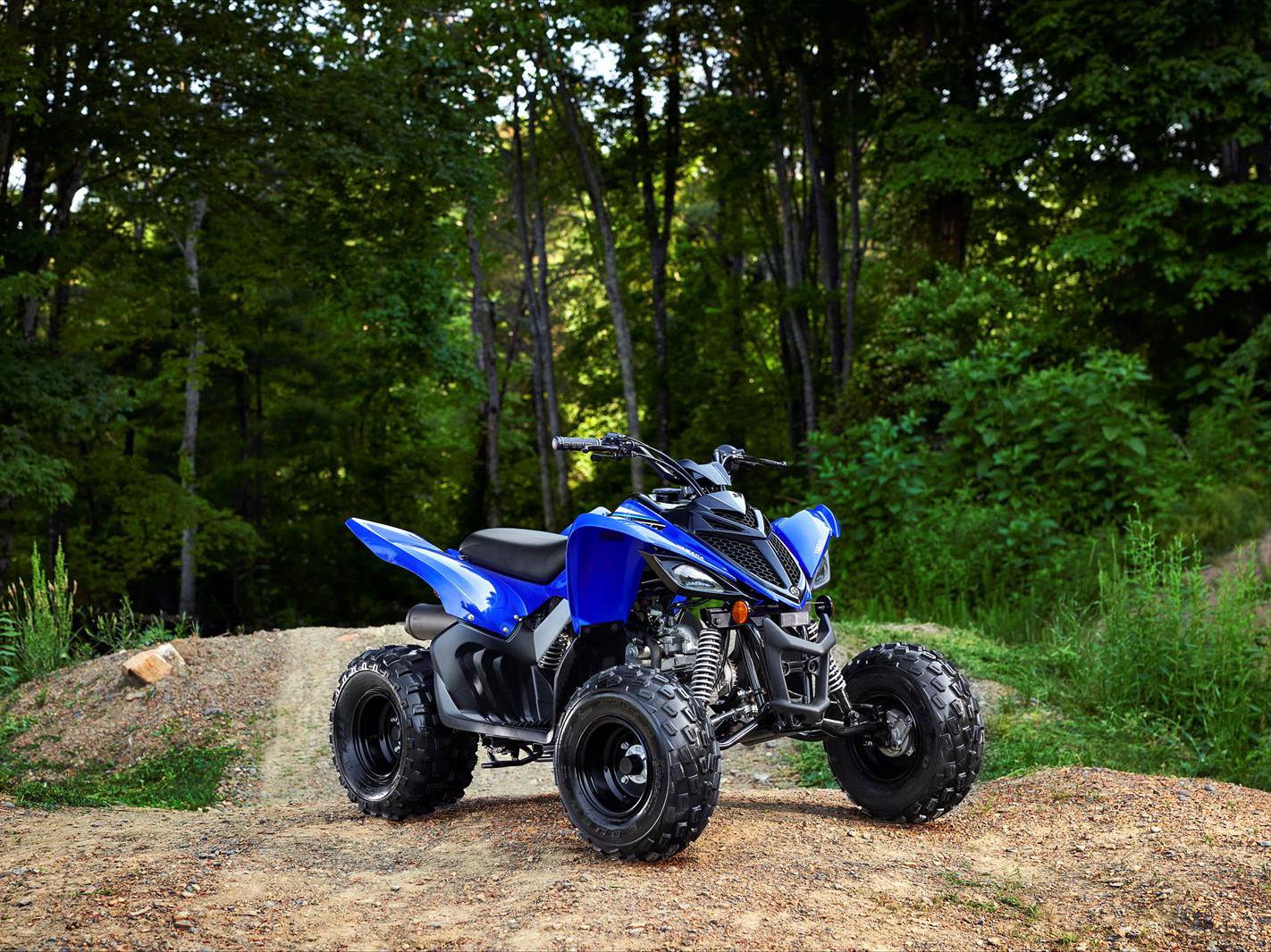 2023 Yamaha Raptor 90 in Long Island City, New York - Photo 4