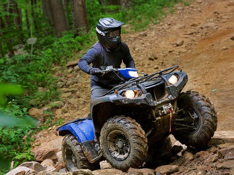 2023 Yamaha Kodiak 450 EPS SE in Elkhart, Indiana - Photo 4