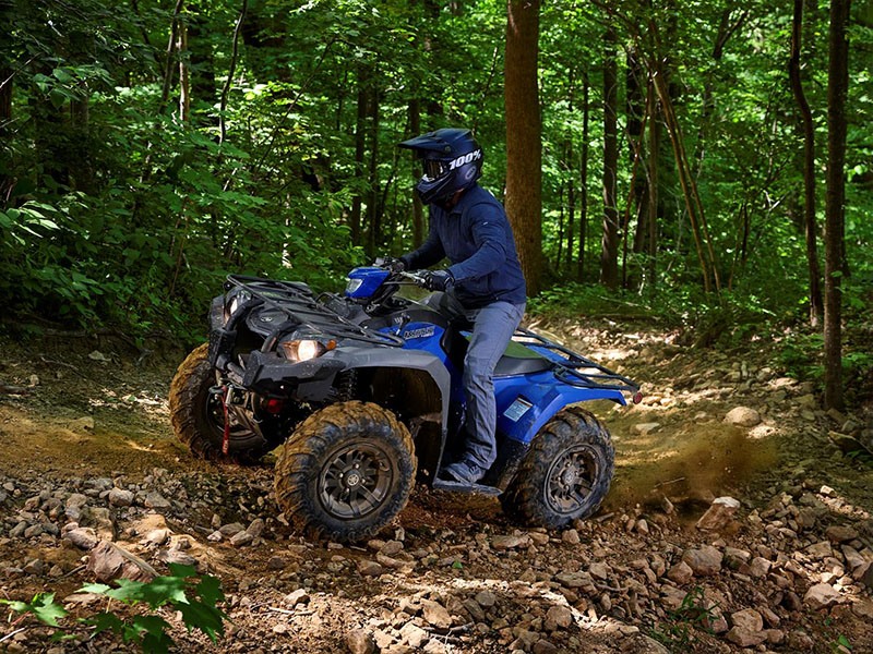 2023 Yamaha Kodiak 450 EPS SE in Elkhart, Indiana - Photo 5