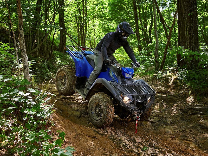 2023 Yamaha Kodiak 450 EPS SE in Elkhart, Indiana - Photo 6