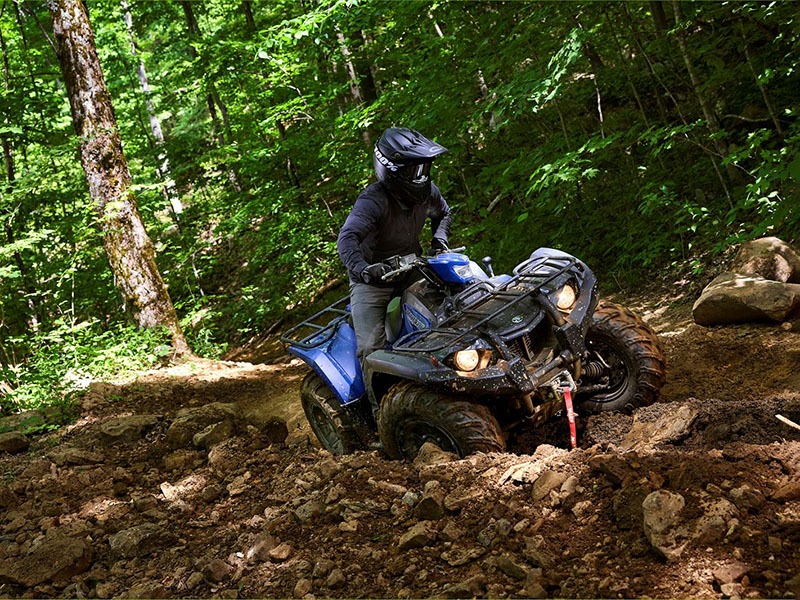 2023 Yamaha Kodiak 450 EPS SE in Elkhart, Indiana - Photo 7