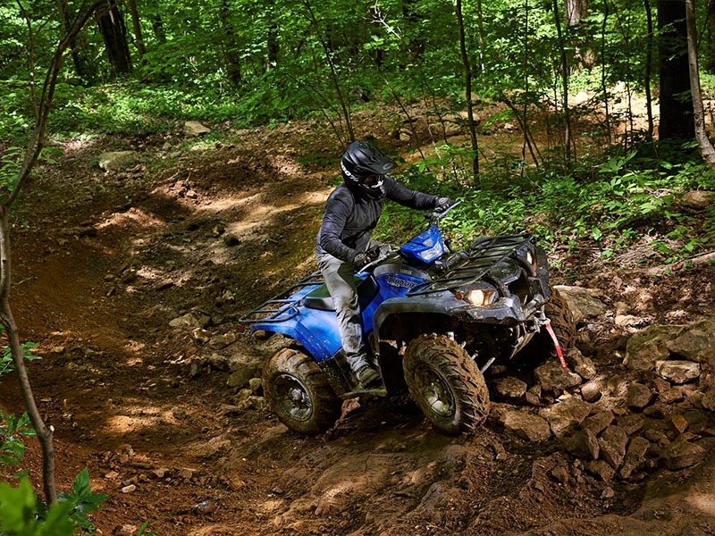 2023 Yamaha Kodiak 450 EPS SE in Elkhart, Indiana - Photo 8