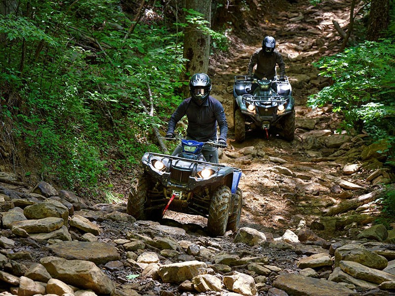 2023 Yamaha Kodiak 450 EPS SE in Elkhart, Indiana - Photo 9