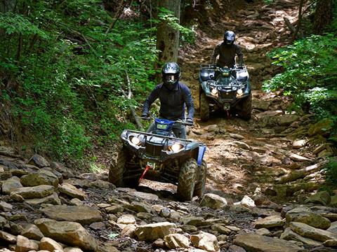 2023 Yamaha Kodiak 450 EPS SE in Elkhart, Indiana - Photo 9