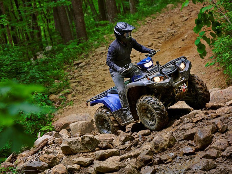 2023 Yamaha Kodiak 450 EPS SE in Elkhart, Indiana - Photo 10