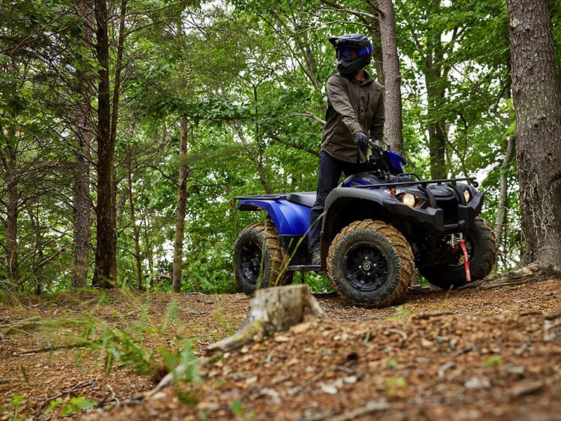 2023 Yamaha Kodiak 450 EPS SE in Elkhart, Indiana - Photo 15