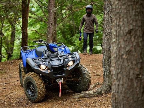 2023 Yamaha Kodiak 450 EPS SE in Elkhart, Indiana - Photo 16
