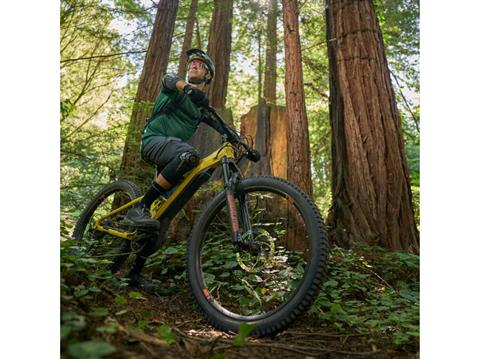 2023 Yamaha YDX-MORO - Medium in Santa Maria, California - Photo 8