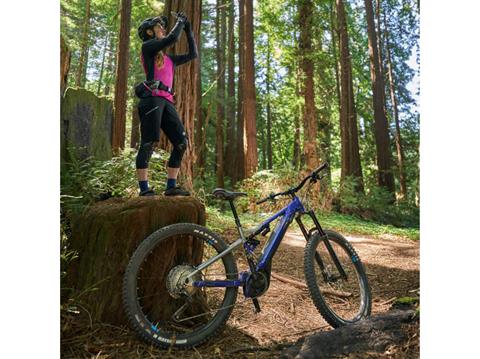 2023 Yamaha YDX-MORO Pro - Large in Saint Maries, Idaho - Photo 4