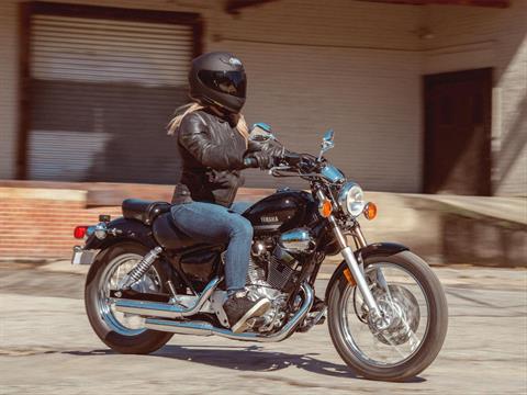 2023 Yamaha V Star 250 in Elkhart, Indiana - Photo 12