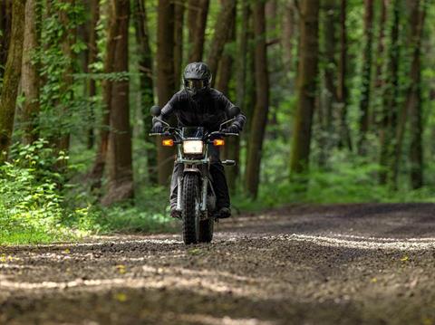 2023 Yamaha TW200 in Elkhart, Indiana - Photo 13