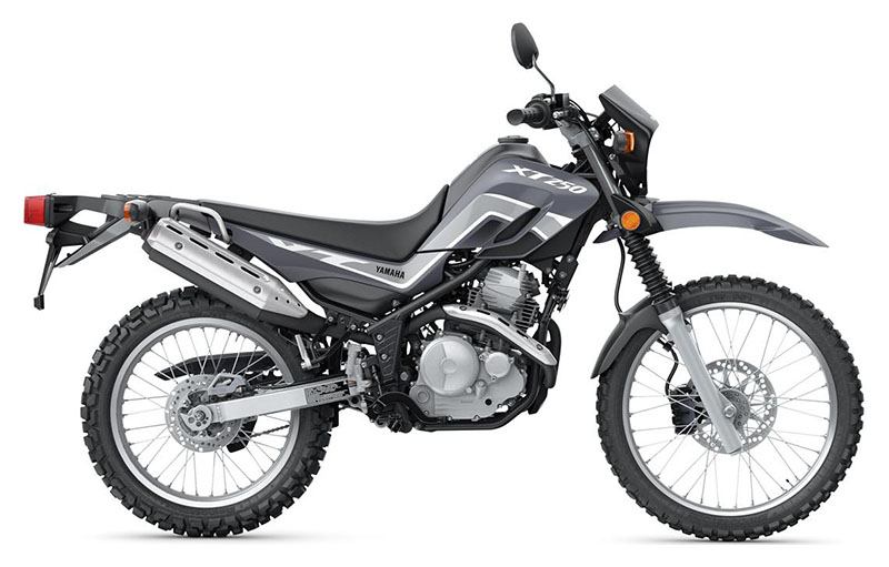 最安値 2023 New Yamaha in Sale For Motorcycles | Gray Radical XT250 その他