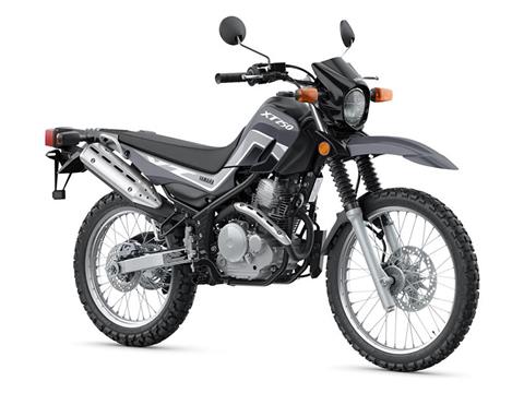 注目ブランドのギフト New 2023 Yamaha XT250 Radical Gray | Motorcycles For Sale in ルアー・フライ