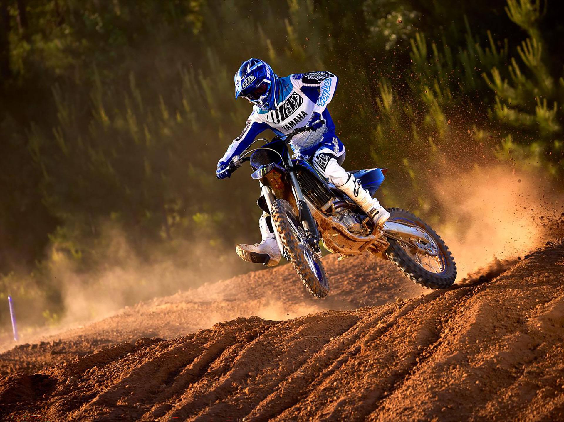 2023 Yamaha YZ250F Monster Energy Yamaha Racing Edition in Elkhart, Indiana - Photo 4