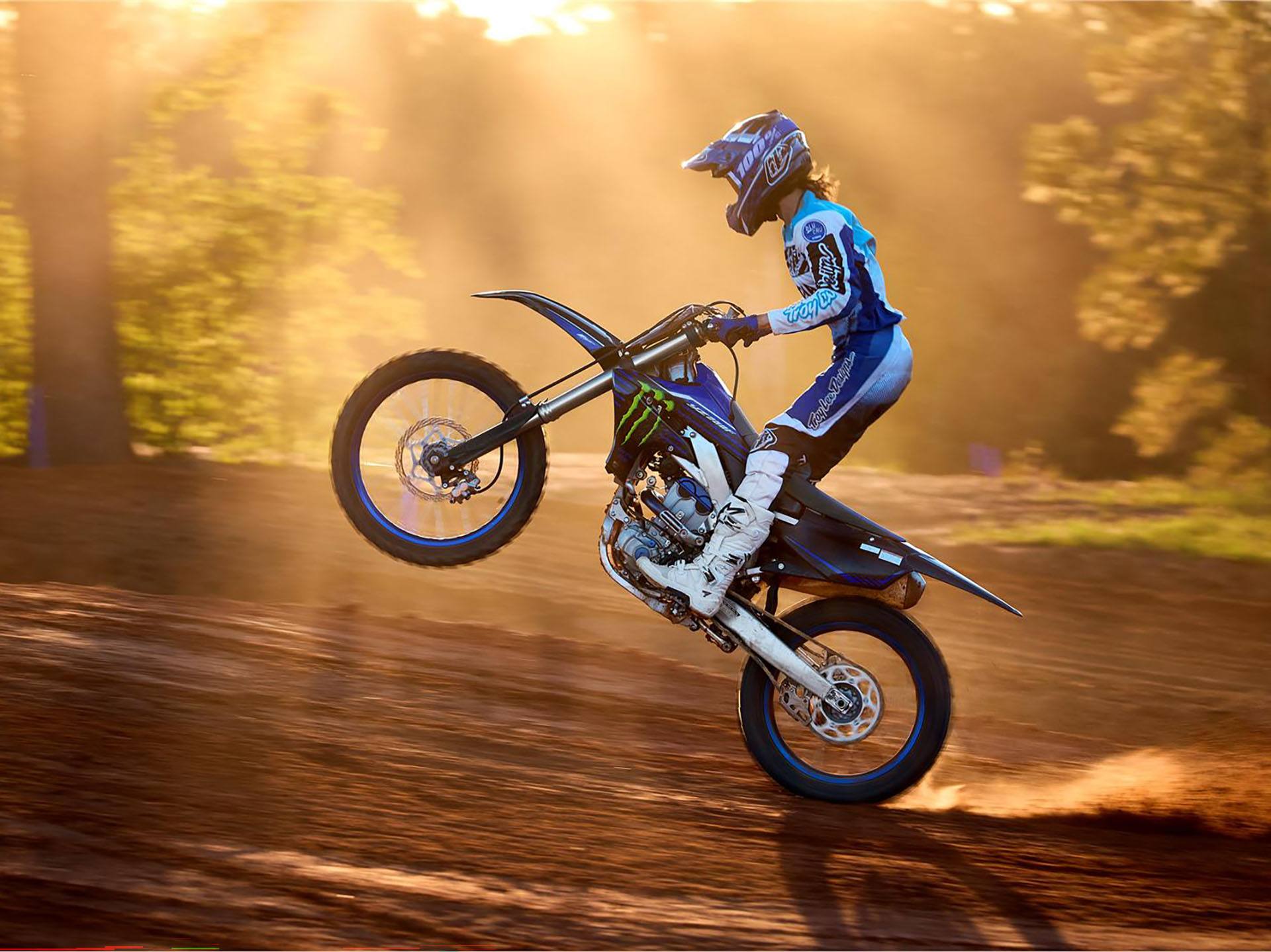 2023 Yamaha YZ250F Monster Energy Yamaha Racing Edition in Elkhart, Indiana - Photo 11