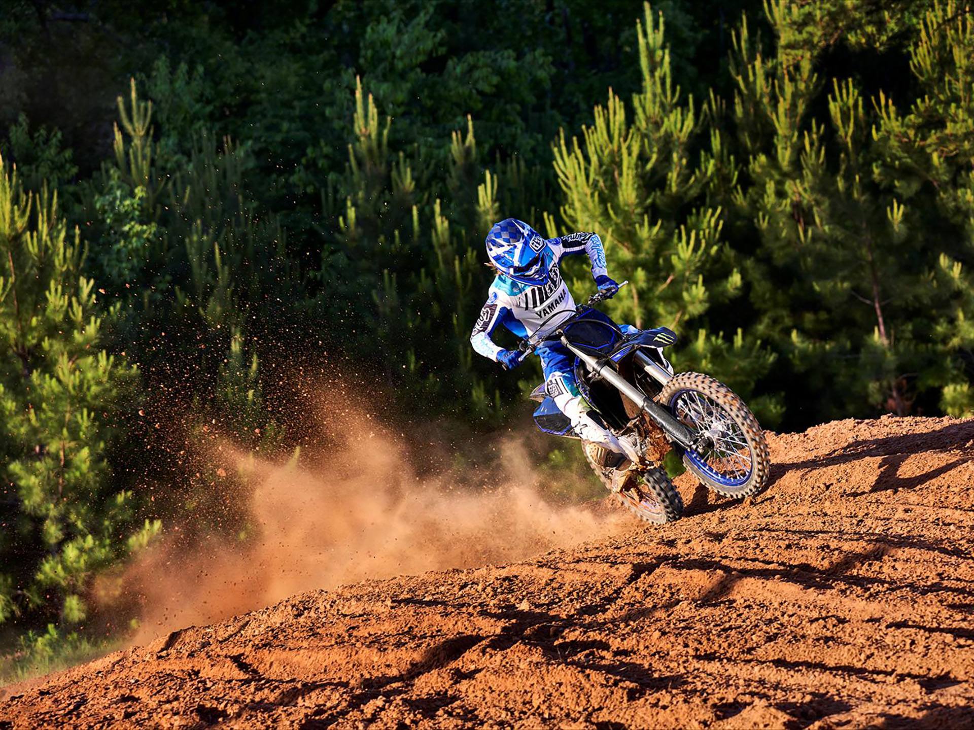 2023 Yamaha YZ250F Monster Energy Yamaha Racing Edition in Elkhart, Indiana - Photo 12