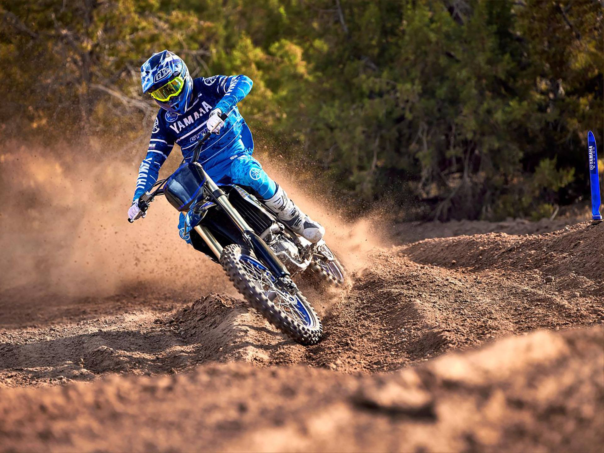 2023 Yamaha YZ450F Monster Energy Yamaha Racing Edition in Fairview, Utah - Photo 9