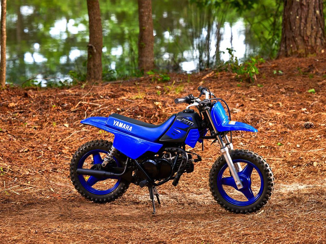 2023 Yamaha PW50 in Elkhart, Indiana - Photo 7
