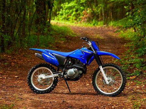 2023 Yamaha TT-R230 in Elkhart, Indiana - Photo 6