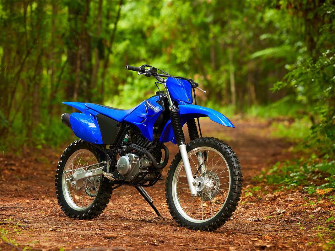 2023 Yamaha TT-R230 in Elkhart, Indiana - Photo 8