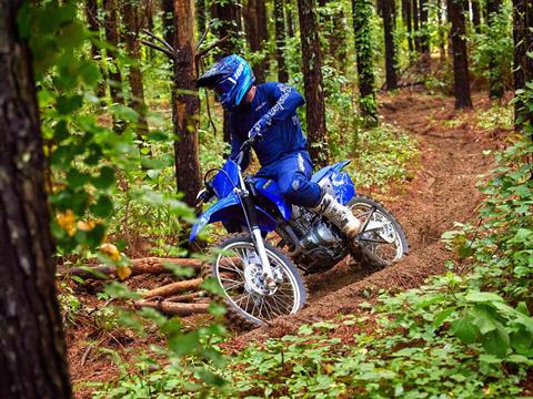 2023 Yamaha TT-R230 in Elkhart, Indiana - Photo 12
