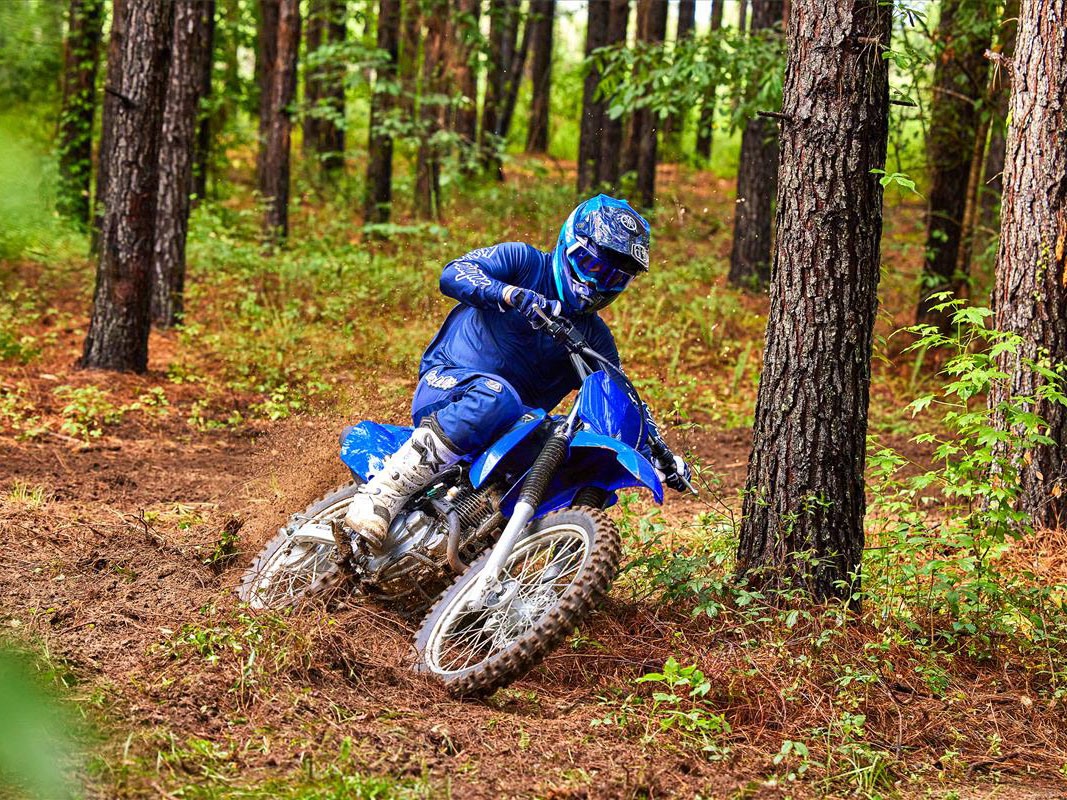 2023 Yamaha TT-R230 in Elkhart, Indiana - Photo 17
