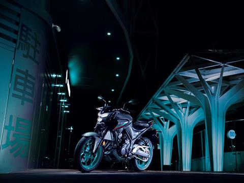 2023 Yamaha MT-03 in Long Island City, New York - Photo 3
