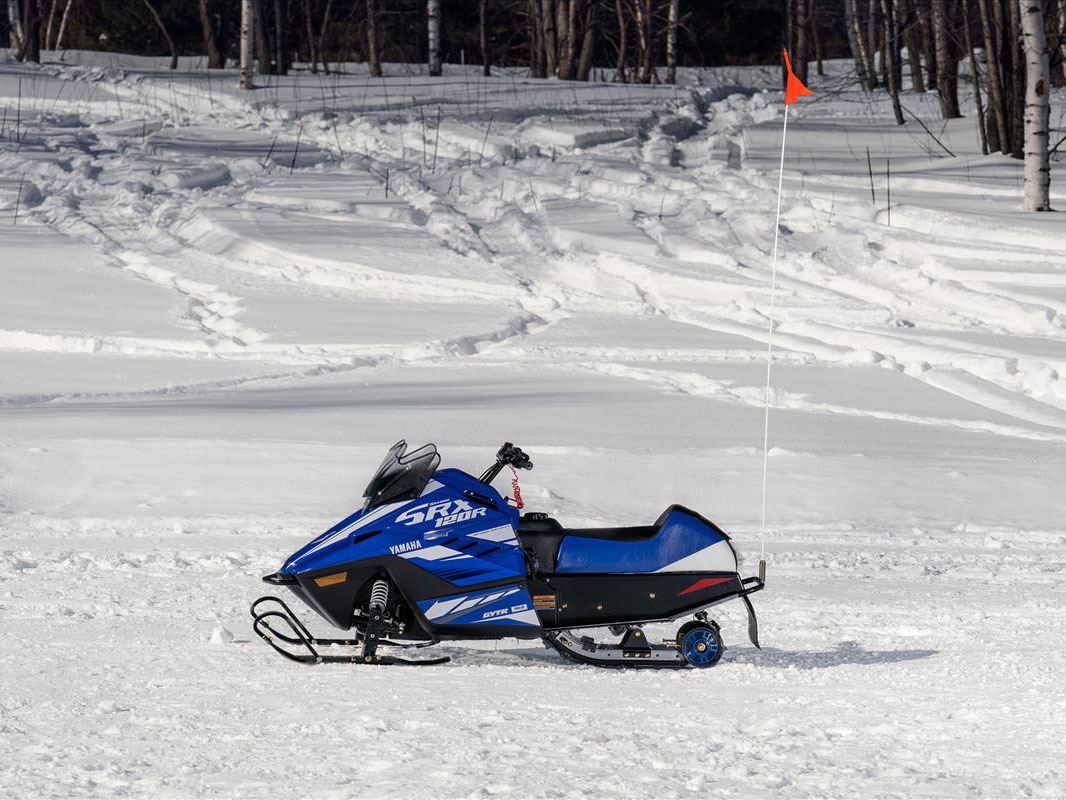 2023 Yamaha SRX120R in Elkhart, Indiana - Photo 3