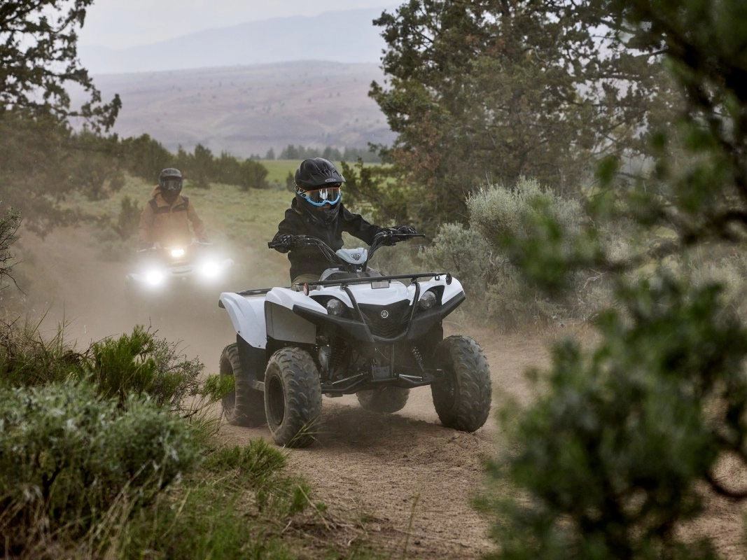 2024 Yamaha Grizzly 90 in Foxboro, Massachusetts - Photo 13