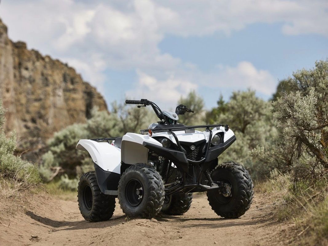 2024 Yamaha Grizzly 90 in Foxboro, Massachusetts - Photo 11