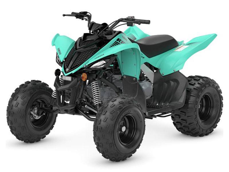 2024 Yamaha Raptor 110 in Long Island City, New York - Photo 4