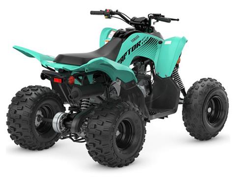 2024 Yamaha Raptor 110 in Long Island City, New York - Photo 6