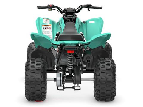 2024 Yamaha Raptor 110 in Long Island City, New York - Photo 8