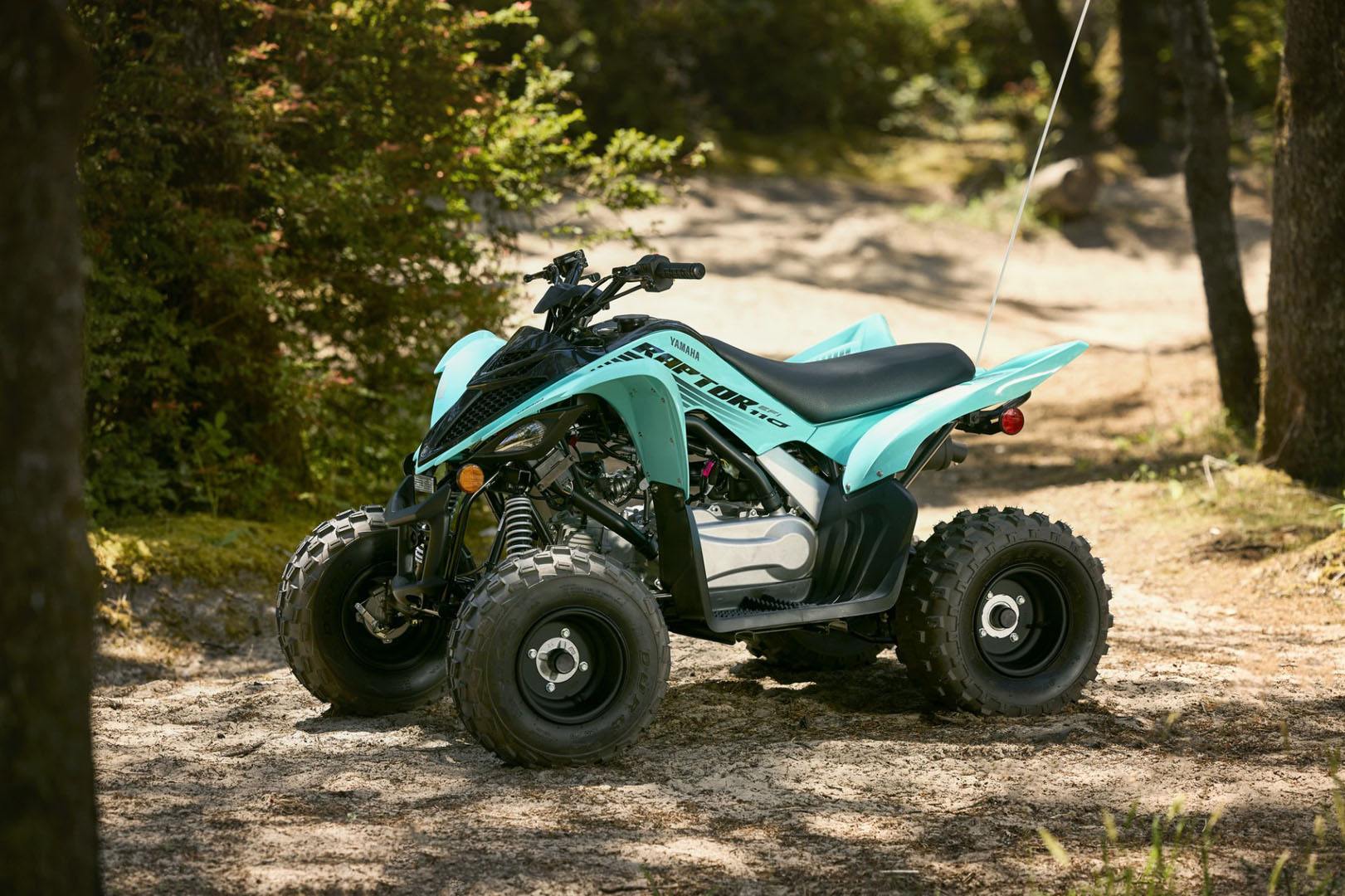 2024 Yamaha Raptor 110 in Long Island City, New York - Photo 9