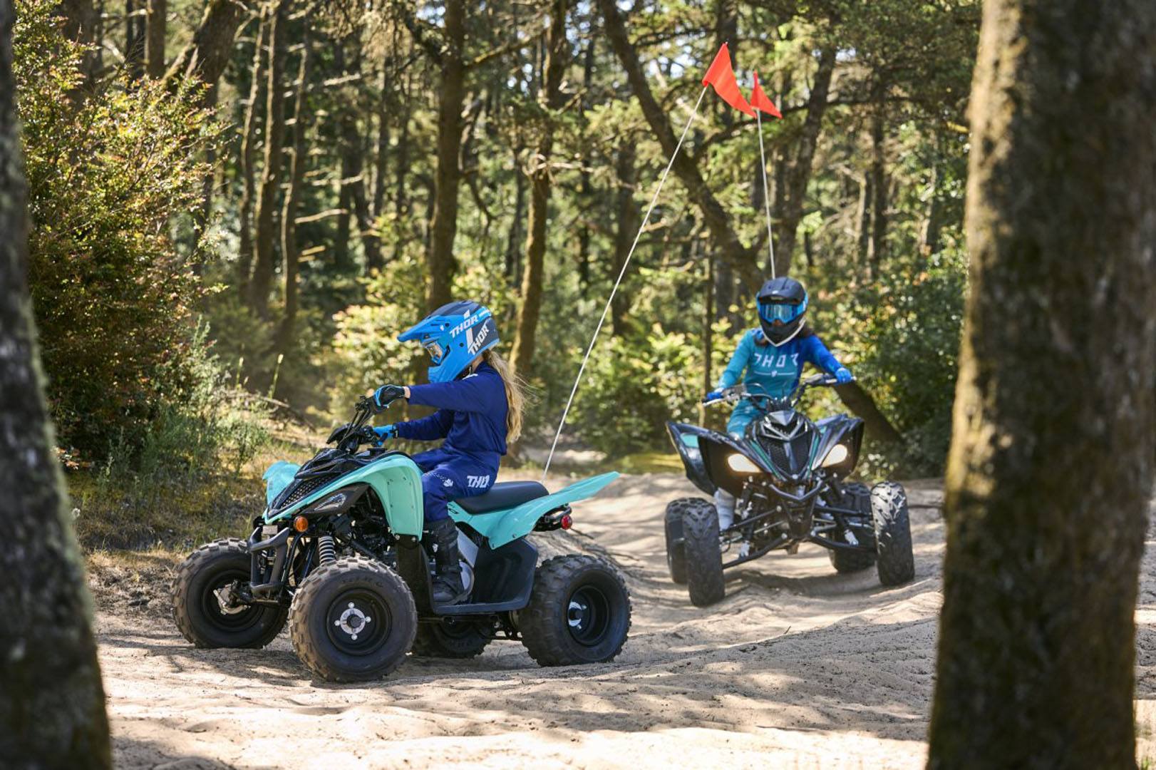 2024 Yamaha Raptor 110 in Long Island City, New York - Photo 12