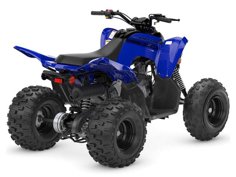 2024 Yamaha Raptor 110 in Long Island City, New York - Photo 6