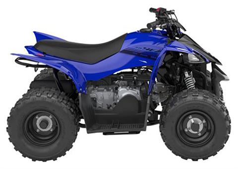 2024 Yamaha YFZ50 in Enfield, Connecticut