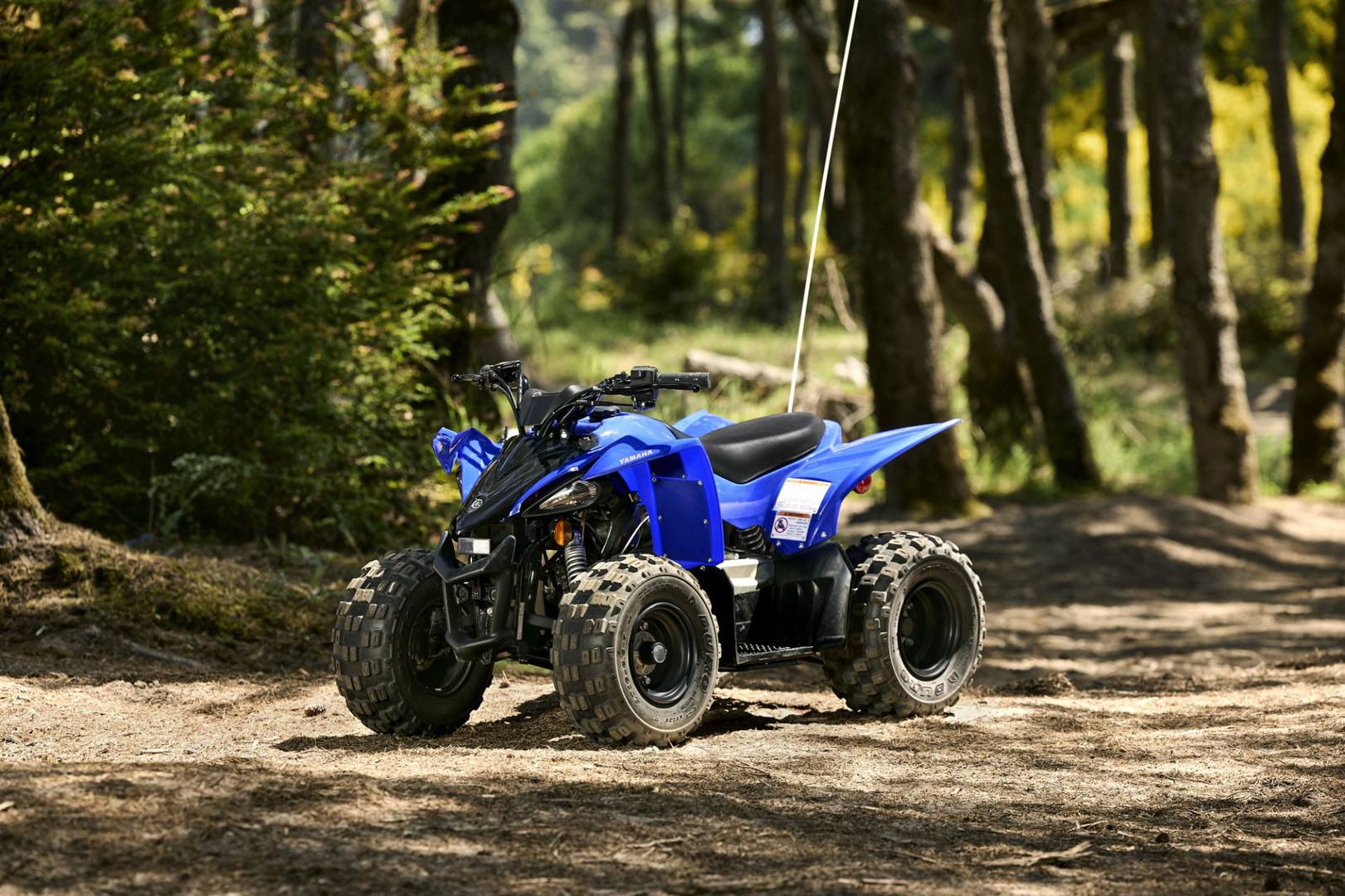 2024 Yamaha YFZ50 in Saint Maries, Idaho